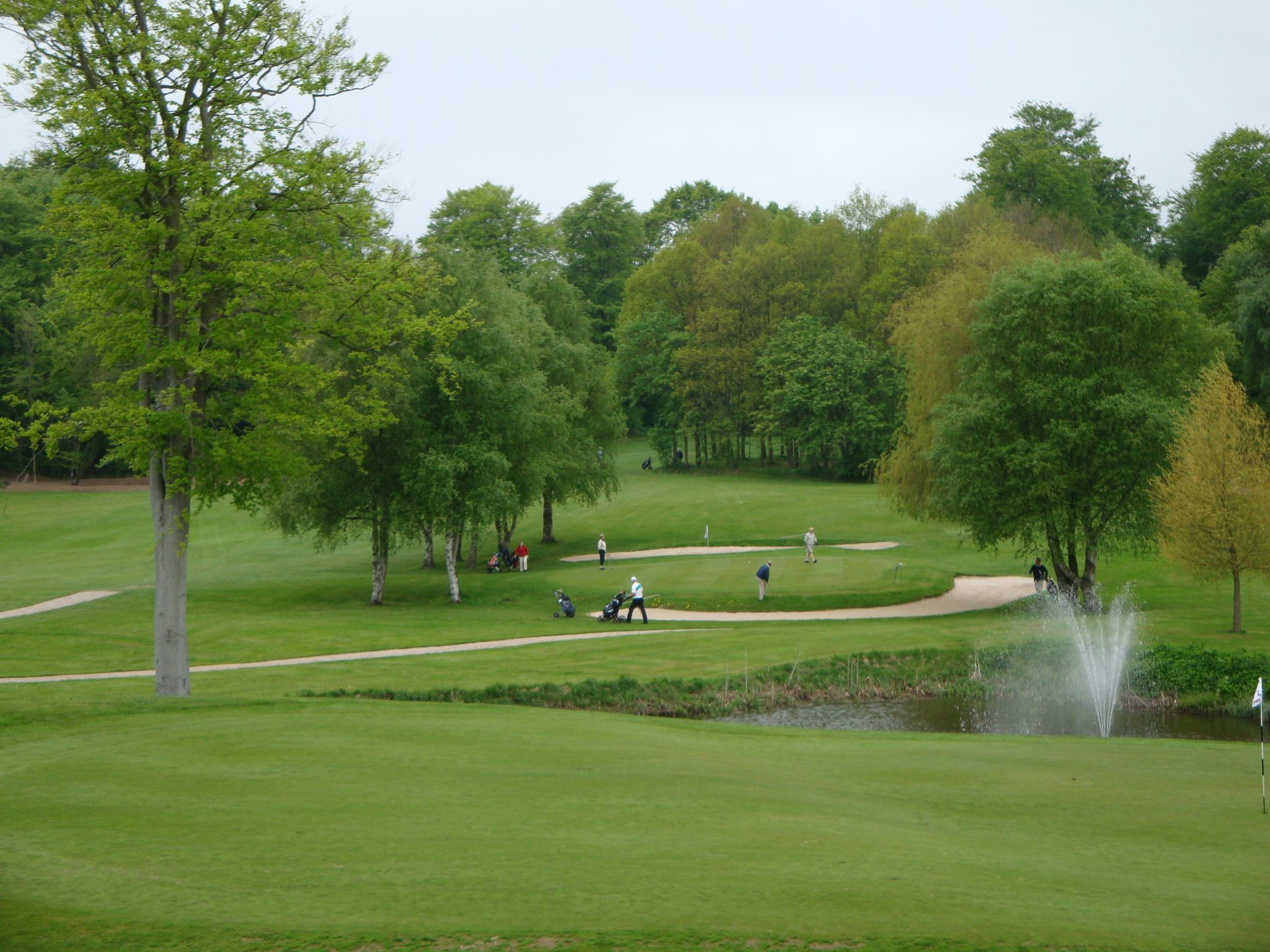 Golfspillere går rundt på smukke grønne baner på Vestfyns Golfklub. Der er springvand i en lille sø, samt flotte grønne træer i baggrunden.